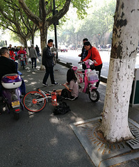 凤起路早上逆行的人真多,难怪老出这种事