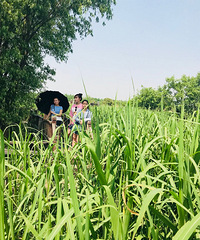 天气好和我的小姐姐一起出去春游