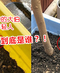 我在23楼,最近总有烟灰从楼上飘下来