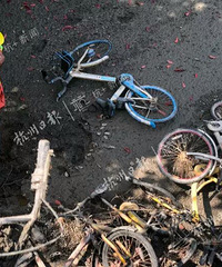 触目惊心!杭州一河道水位下降后竟出现这样一幕…