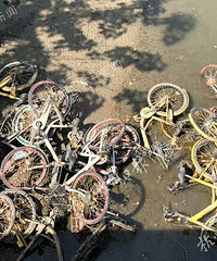 触目惊心!杭州一河道水位下降后竟出现这样一幕…