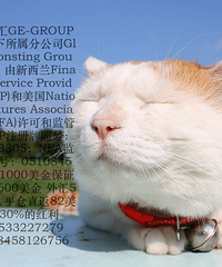 聚亦外汇平台红利打包招商