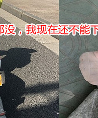 在大关桥撞我的年轻人,劝你快去自首!