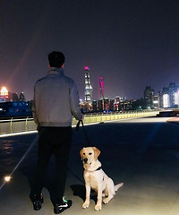 组图:P图小能手!刘翔帅气自拍凸显朦胧美