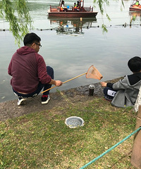 孤山公园里螺丝摸摸,晚餐有了!这个爷爷拉风的