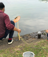 孤山公园里螺丝摸摸,晚餐有了!这个爷爷拉风的