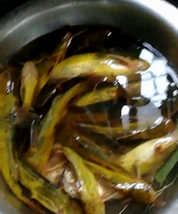 ���˺ö఺����