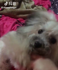 ������ߣ�8�������ң��Ա�ĸ�����3���