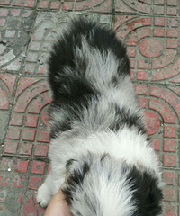 ���ﲻ���������������͹�ʿ����