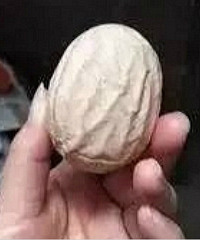 长着皱纹的鸡蛋你见过吗?