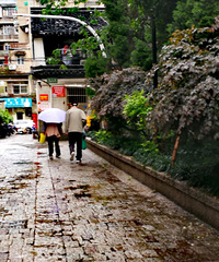 杭城的雨天,也有我们熟悉而陌生的风景!