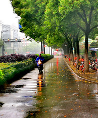 杭城的雨天,也有我们熟悉而陌生的风景!