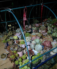 ���Ӵ�����˳�