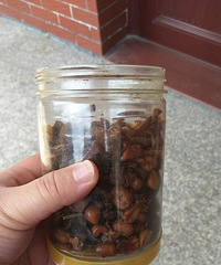 自己做的多味笋干