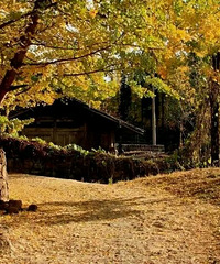 4.25【九张图】打卡+美景