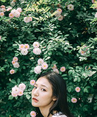 花开时节
