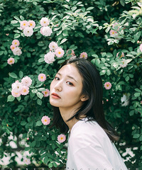 花开时节