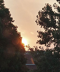 ����㻹������