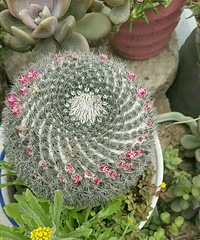 ������?��