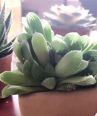 ���������⣬����￴����զ��