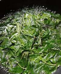 �Ե���ɫʳƷ