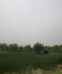 ��ҵ�ɢɢ��