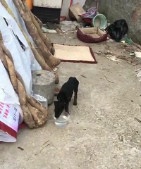 ����Ȯ��������ȮѰ�������