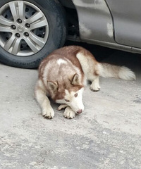 �����͹�ʿ��