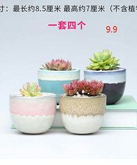 �����Ķ��⻨��