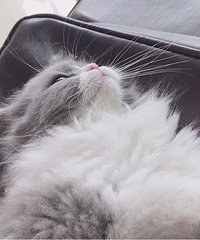 ����´�����׳�ë�۱�MM��������ȫ����