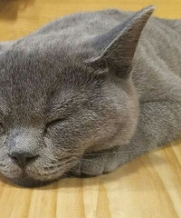 �ܶ�����