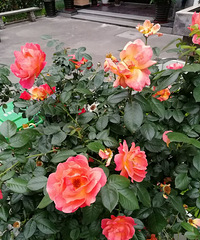 ����������