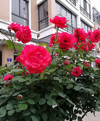 ����������