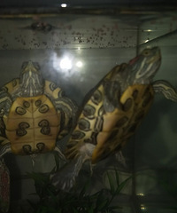 ��֪������ڹ�