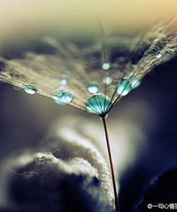 �˵�һ���������������ˡ�һ��������ʱ��