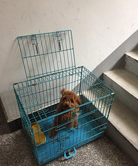 ����7���´��̩�ϳ��ۣ��Դ��������磨��ϸС�������彡����