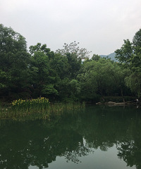 杭州拱墅区的这个新鲜氧吧可不能错过!