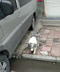 ĸ���������