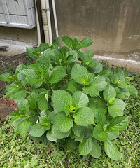 ���������ġ���????