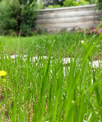 �÷羰��������