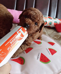 �����������ӽ����������������Ĺ����Ѿ���