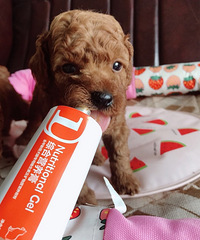 �����������ӽ����������������Ĺ����Ѿ���