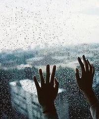 �ڳ������ɵ�˯���У�ӭ����һ��������ꡣ