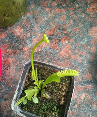 ��ů��������������?