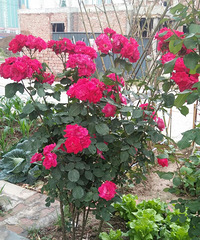 ��ů��������������?