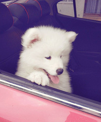 Ѱ����ĦҮ����