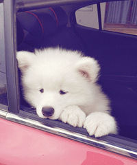 Ѱ����ĦҮ����