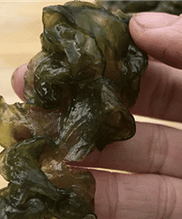 �ٰ����������е��¼�