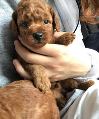 �����������ӽ���һ������һ���ˣ������Ĺ�