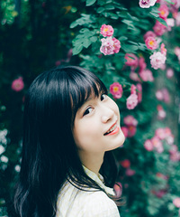 蔷薇之恋